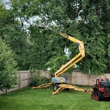 Best Tree Risk Assessment  in Pleasant Gap, PA